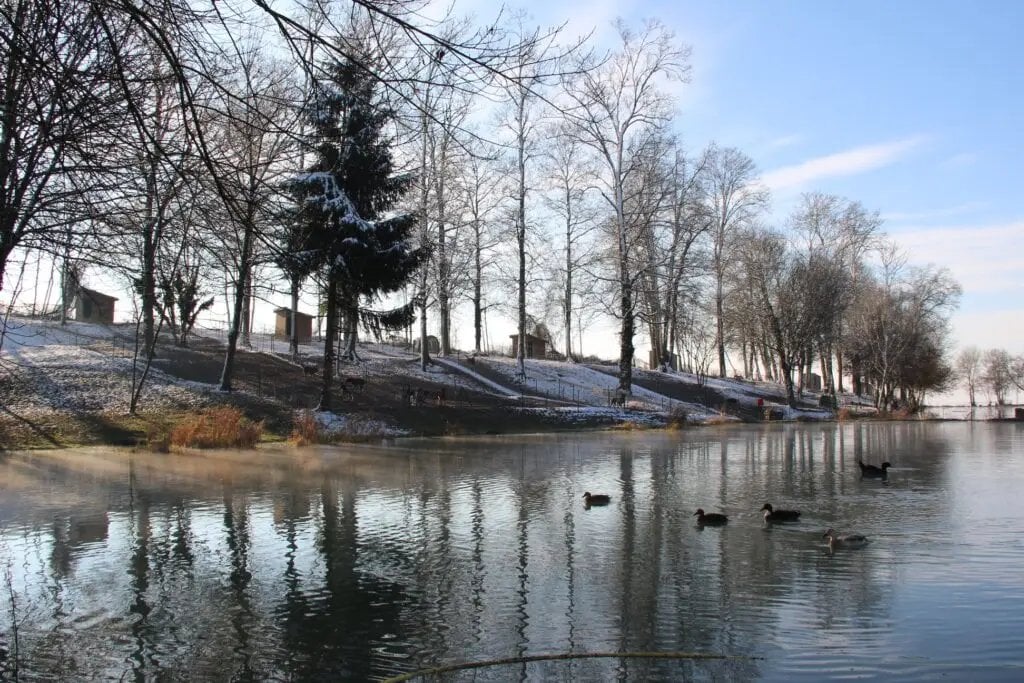 Elevage du paradis des edelweiss l'hivers