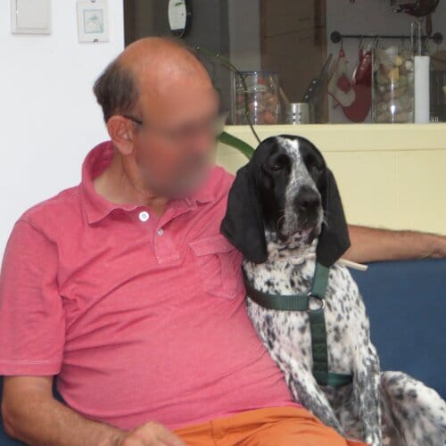 Braque d'Auvergne proche de son maître