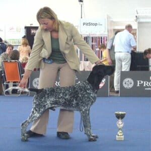 Graphite du Paradis des Edelweiss