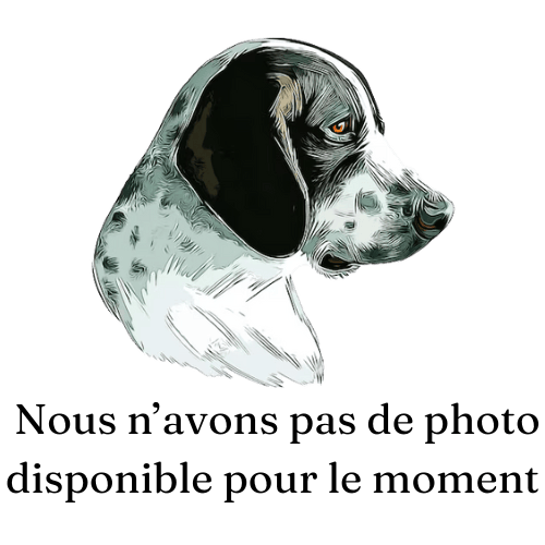 Nous n’avons pas de photo disponible pour le moment